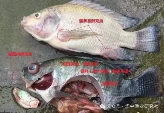 图4.jpg