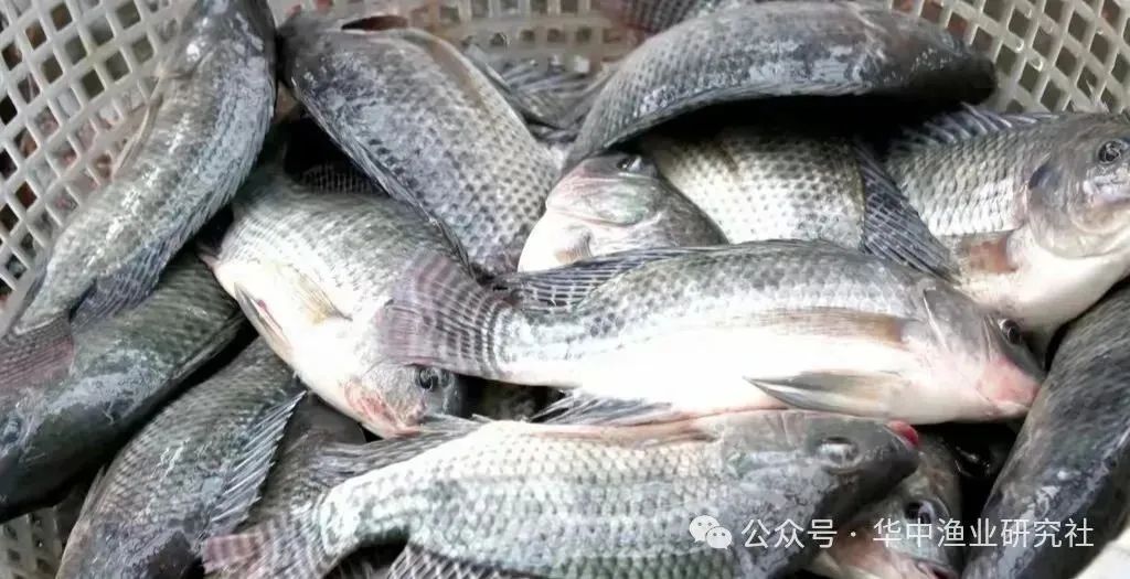 图5.jpg