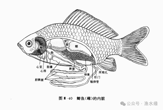 00a26b91aeec59ff8804a88e01294bed.png