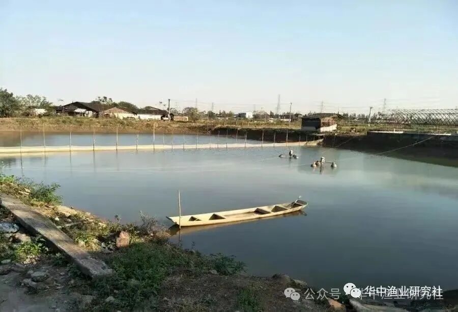 1759980686186487.jpg 1.jpg