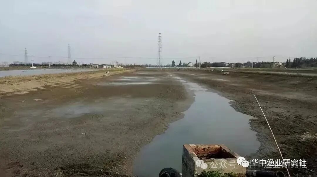 1759980732306979.jpg 2.jpg