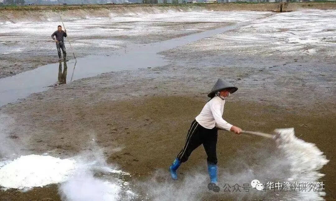 1759980754770169.jpg 3.jpg