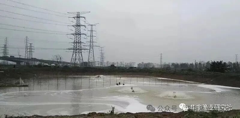 1759980792167830.jpg 4.jpg