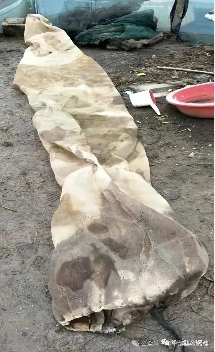 1759980810369672.jpg 5.jpg