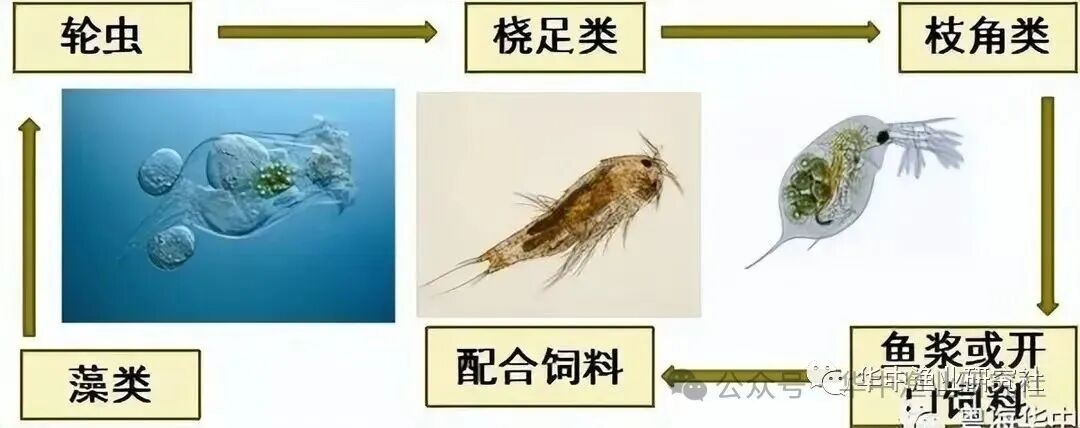 1759980826181458.jpg 6.jpg