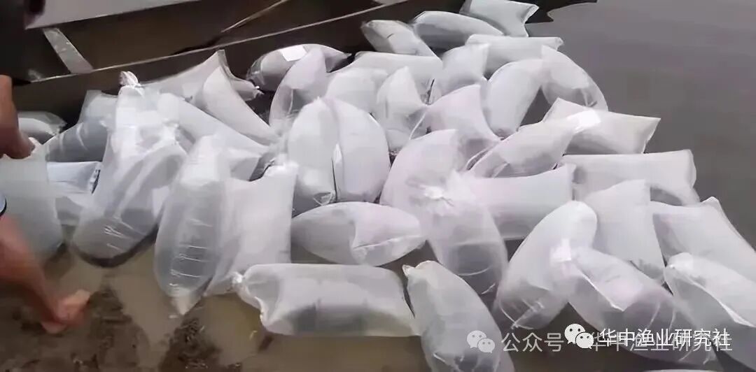 1759980852372134.jpg 7.jpg