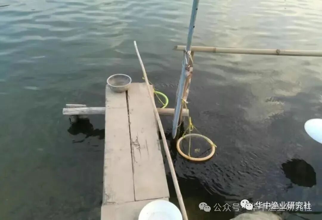 1759980876505819.jpg 8.jpg