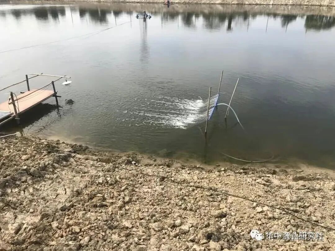 1759980891570325.jpg 9.jpg