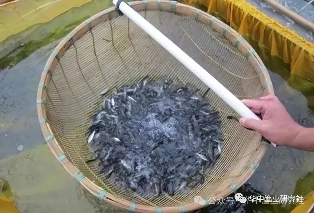 1759980929260871.jpg 11.jpg