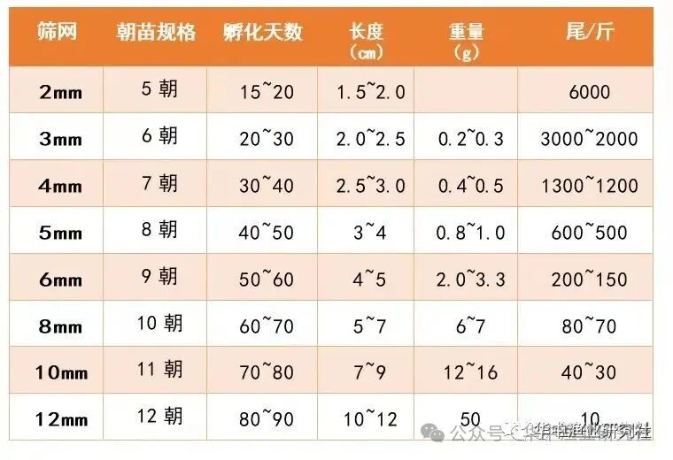 1759980940719091.jpg 12.jpg