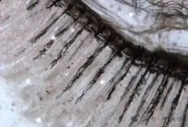 1759992683619395.jpg 2.jpg