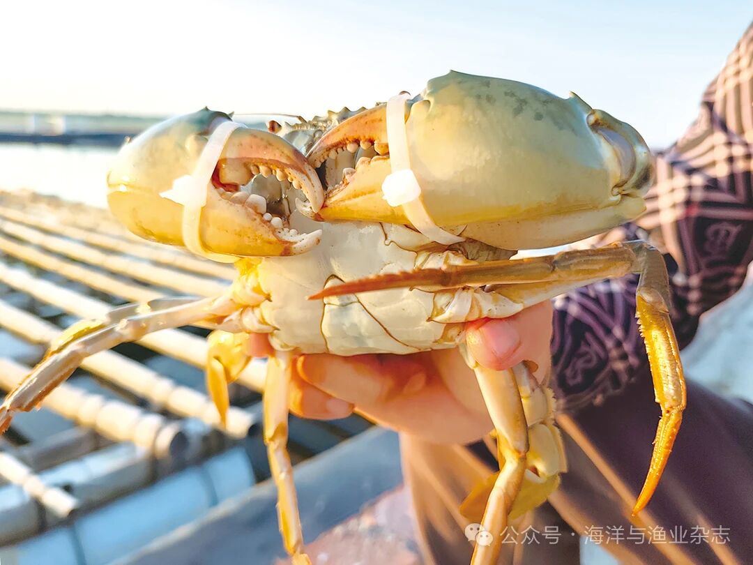 1760152286831535.jpg 3c4fb30f9e09369389565555abdacea1.jpg