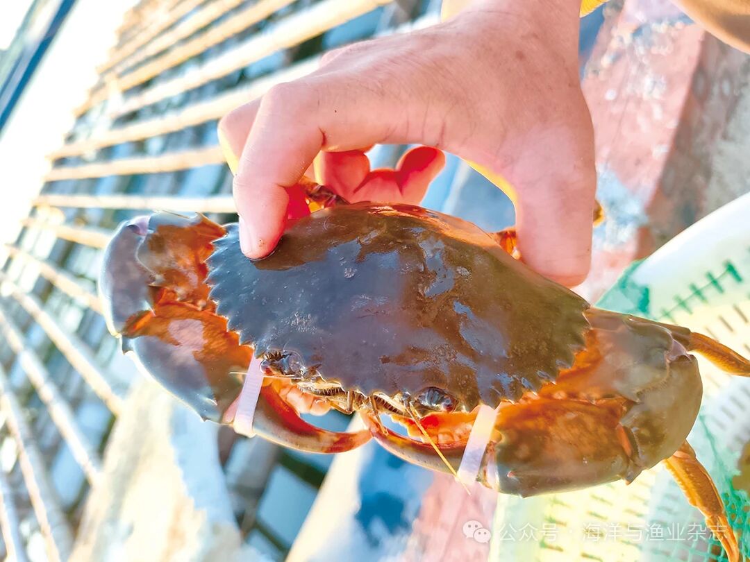 1760152324901478.jpg b0c9e178aebebeecf926c572ca0a85b9.jpg