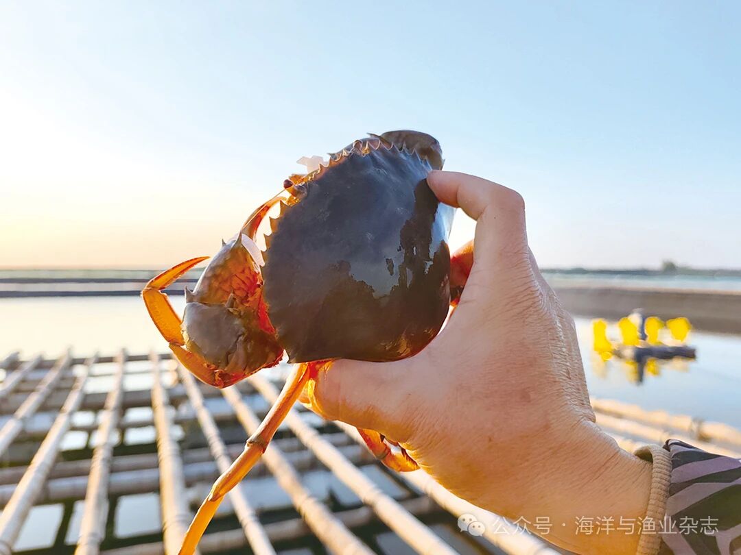 1760152344308965.jpg 680927dae8903202f2232c7ce1b5a5af.jpg