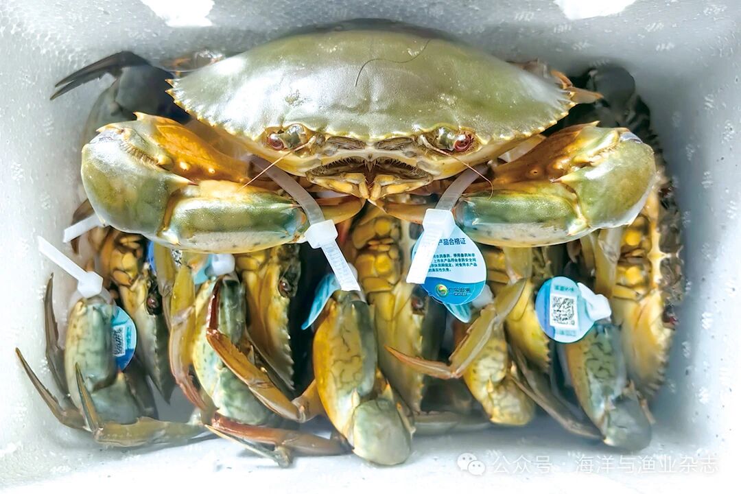 1760152368350801.jpg aa4cb7ccbd9172abb4a19b28cd09a149.jpg