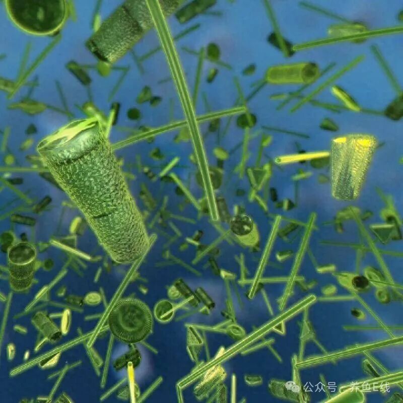 1760155379429969.jpg ac8aee1adfac967a7697c8dcd0a9871a.jpg