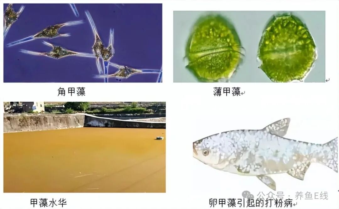 1760155681581642.jpg 159b7076e4cbea17696ce69369e0420f.jpg