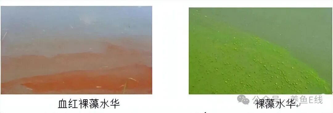 1760155730356071.jpg 34e816453972c5967d8ac48b338212e5.jpg