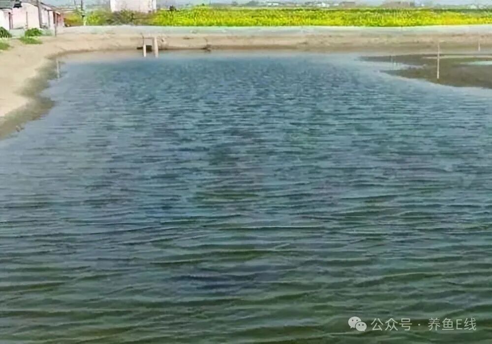 1760155751678642.jpg 73eac2e7f9012e2e59a2a3caa6866f15.jpg