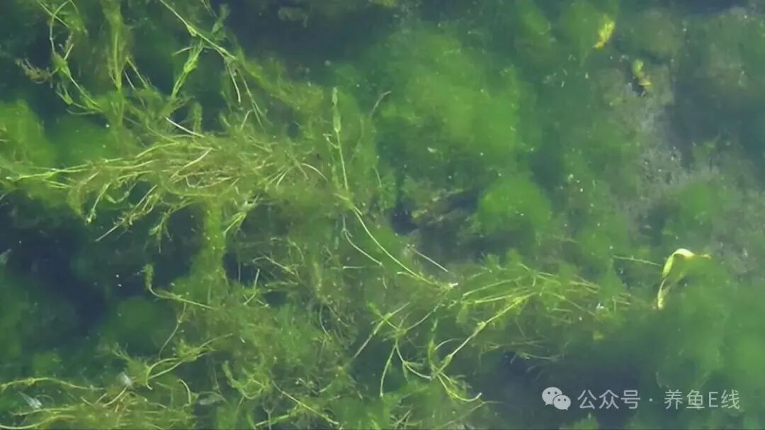 1760155803483504.jpg 92a744d95550e3038a5683412b2db560.jpg