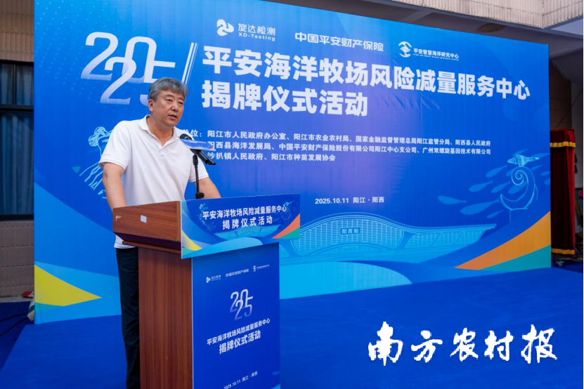 1760321740909843.png 1.png