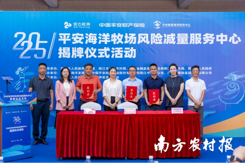 1760321798517345.png 3.png