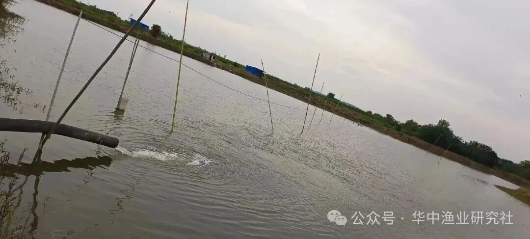 1760322252955866.jpg 1.jpg