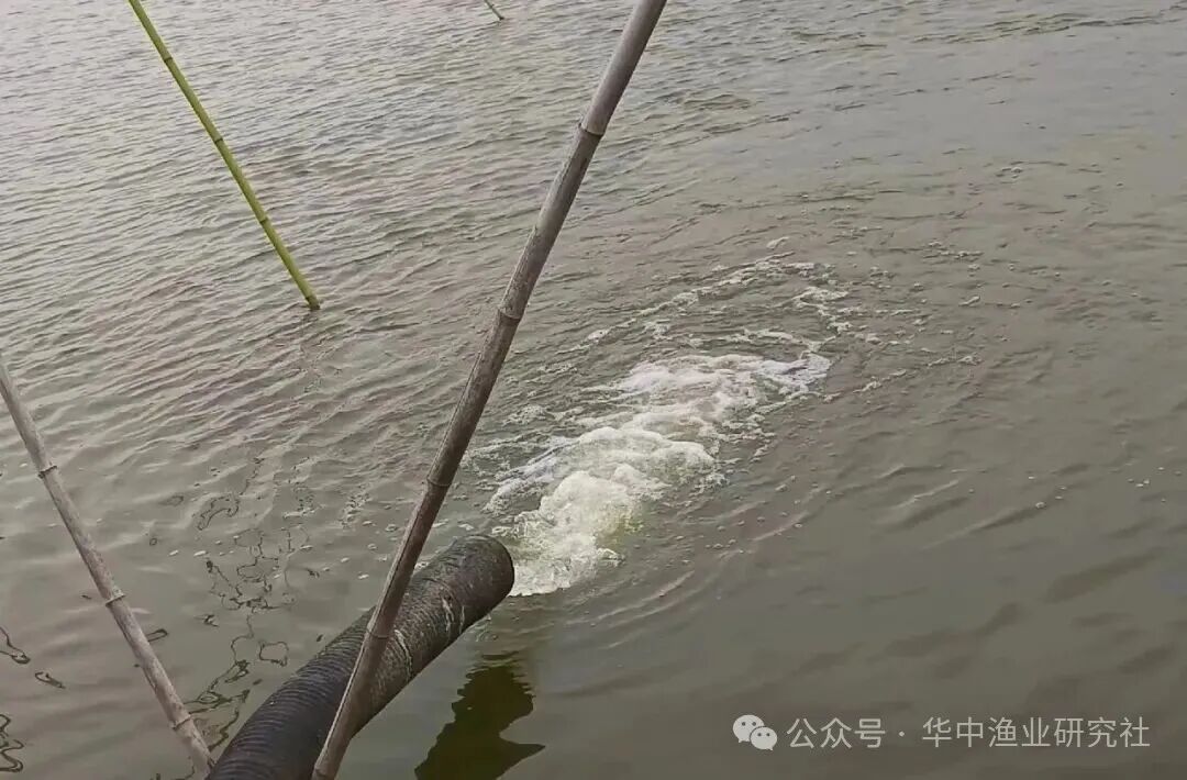 1760322298143765.jpg 3.jpg