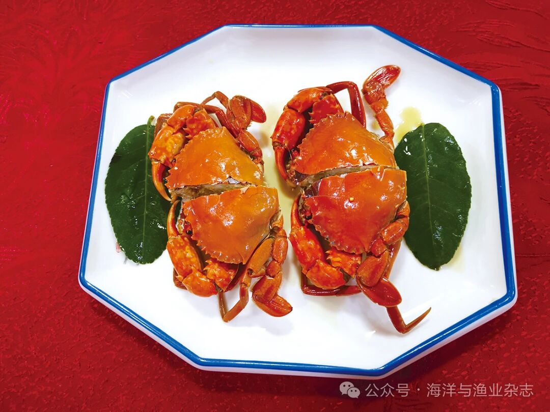 1760411380512689.jpg 3.jpg