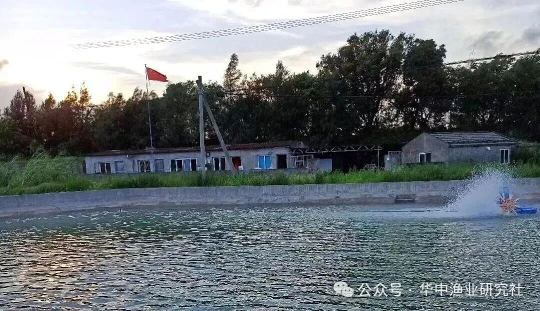 1760412260174470.jpg 2.jpg