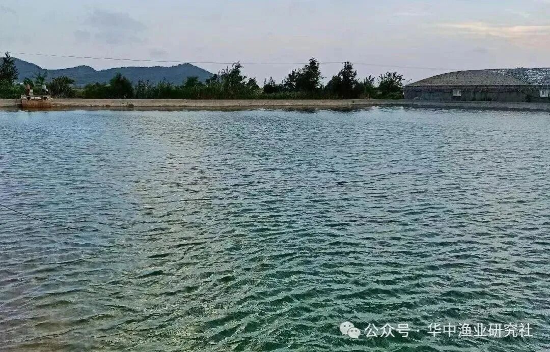 1760412307354528.jpg 3.jpg