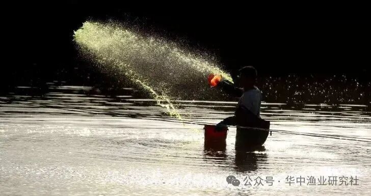 1760412327392250.jpg 4.jpg