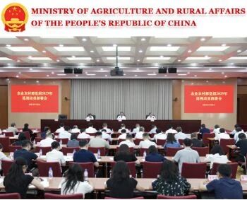 1760494059601254.jpg 1bd79ab5034b6516ca966e68987c2264.jpg