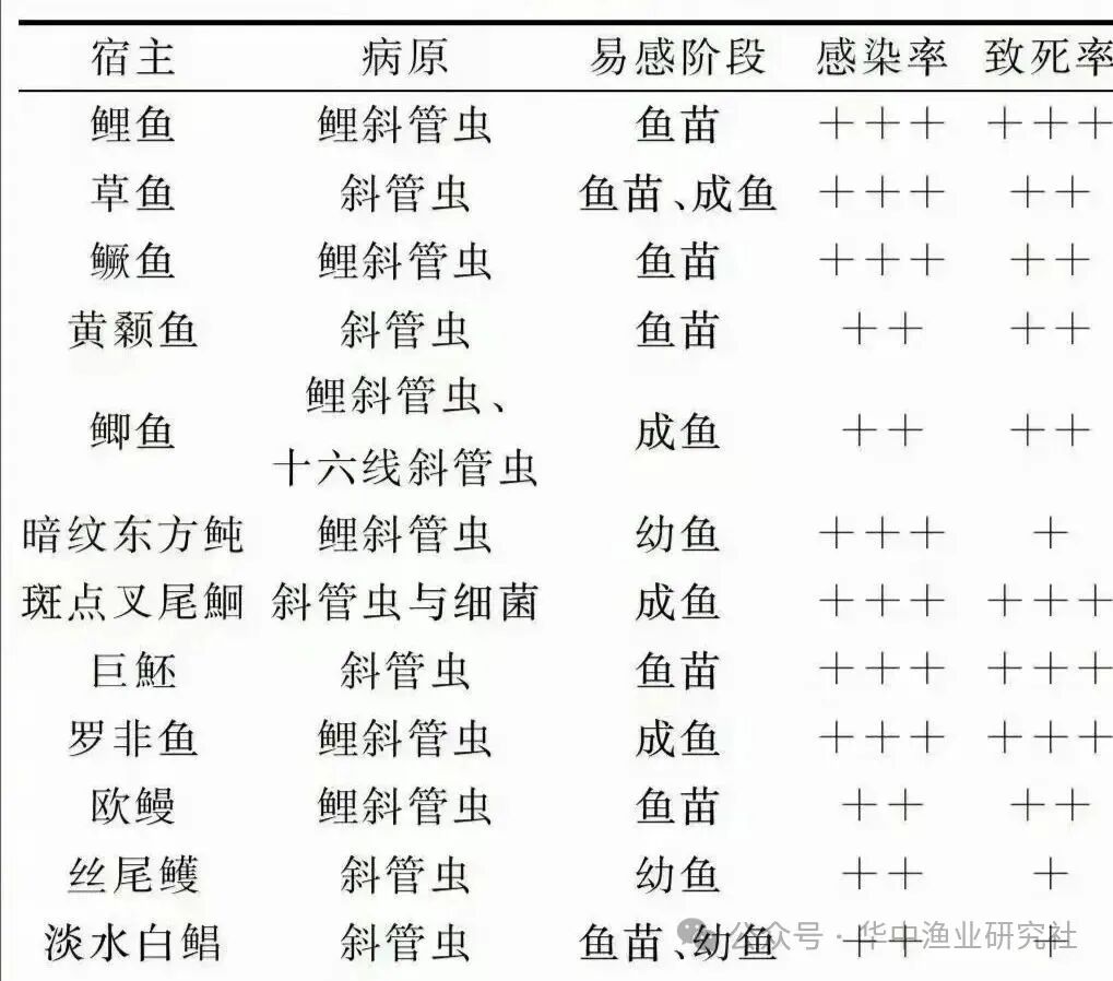 1760495008620129.jpg 373a40e4a7a061398f7bf0b93325144d.jpg