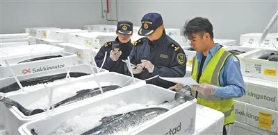 1760580843968144.jpg 1.jpg