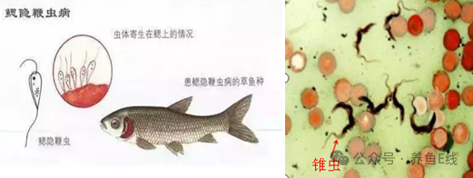 1760582612652855.png 1.png