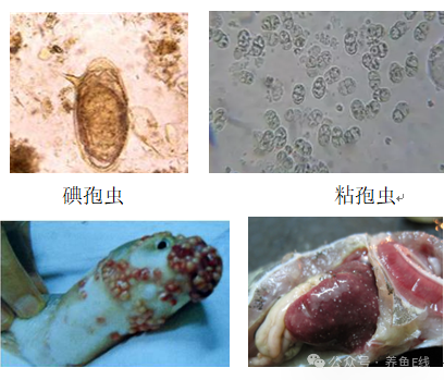 1760582632841689.png 2.png