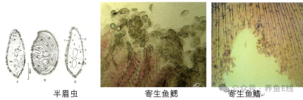 1760582694790319.png 4.png