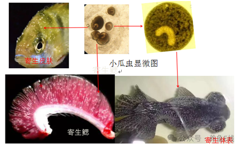 1760582714212957.png 5.png