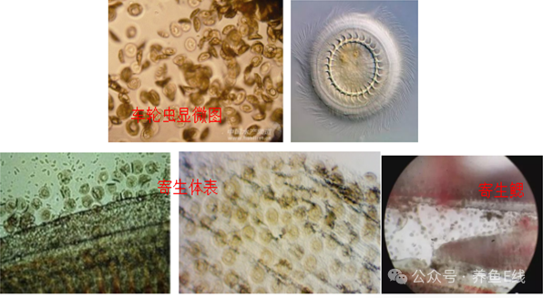 1760582734973247.png 6.png