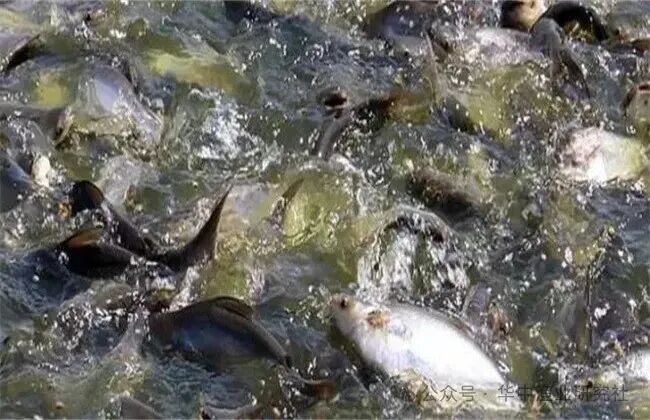 1760584649487981.jpg 3.jpg