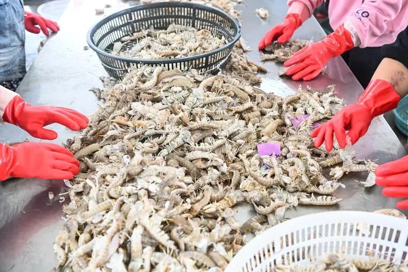 1760927092671160.jpg 3.jpg