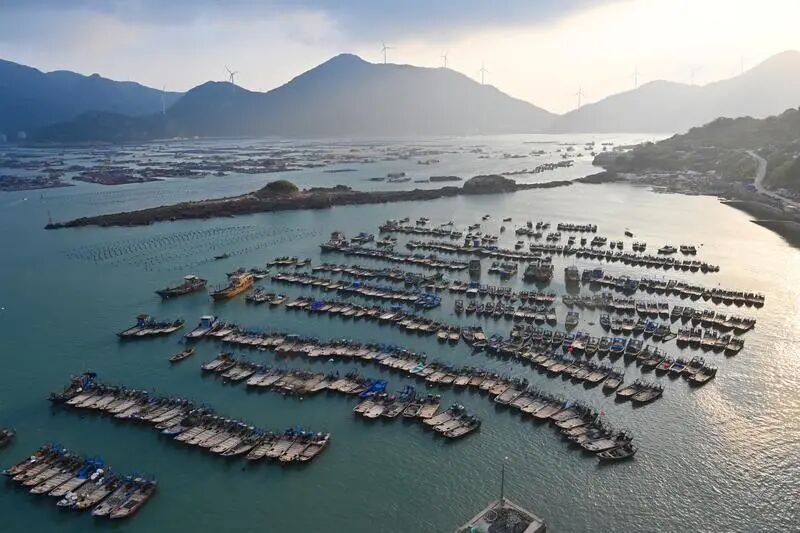 1760927106718259.jpg 4.jpg