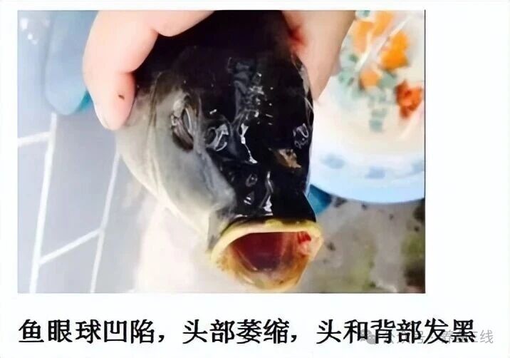 1761013871847742.jpg 5.jpg