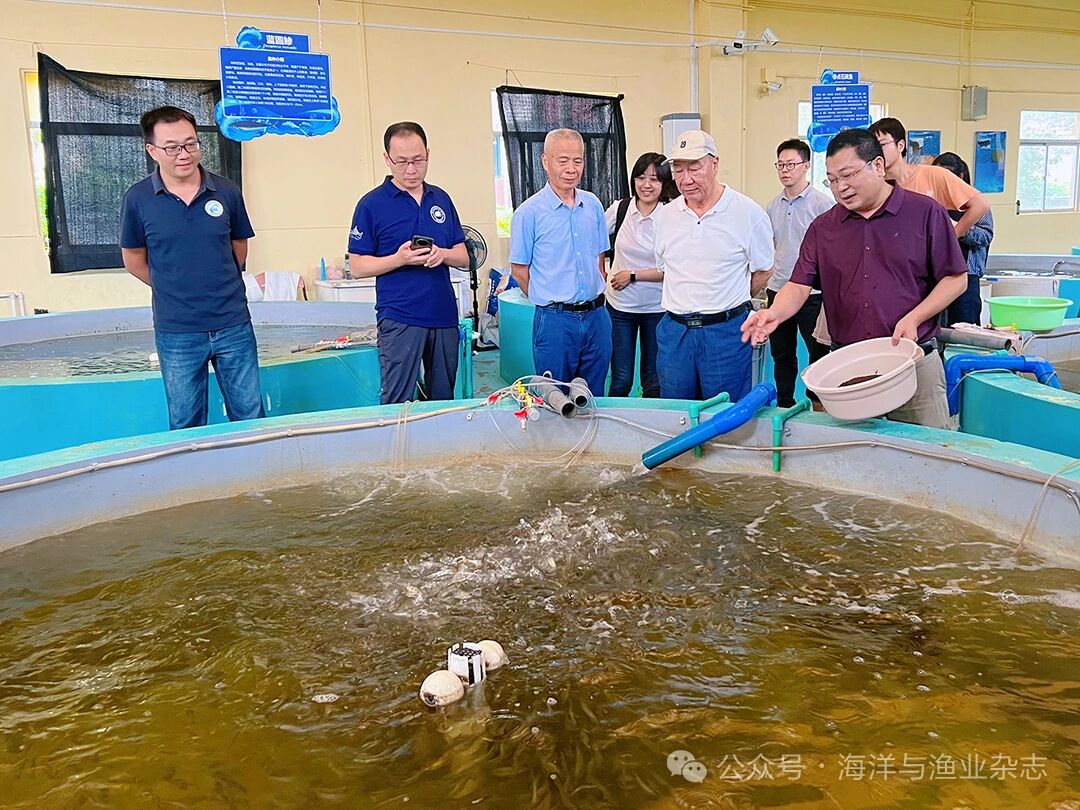 1761185308158749.jpg 2.jpg