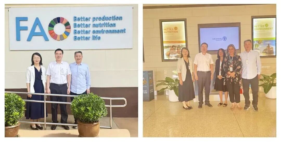 1761185906406686.jpg 2.jpg