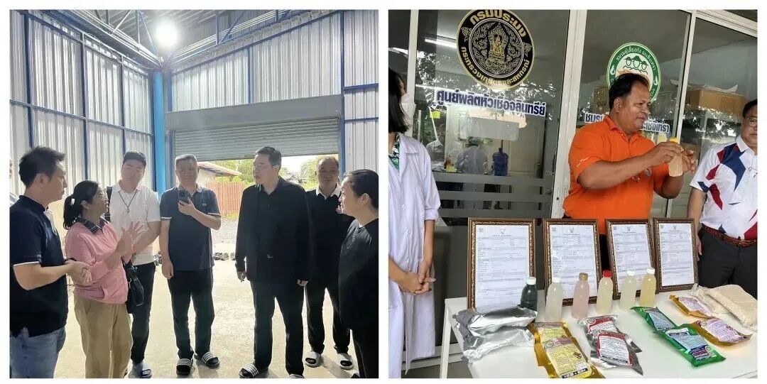 1761185995662173.jpg 3.jpg