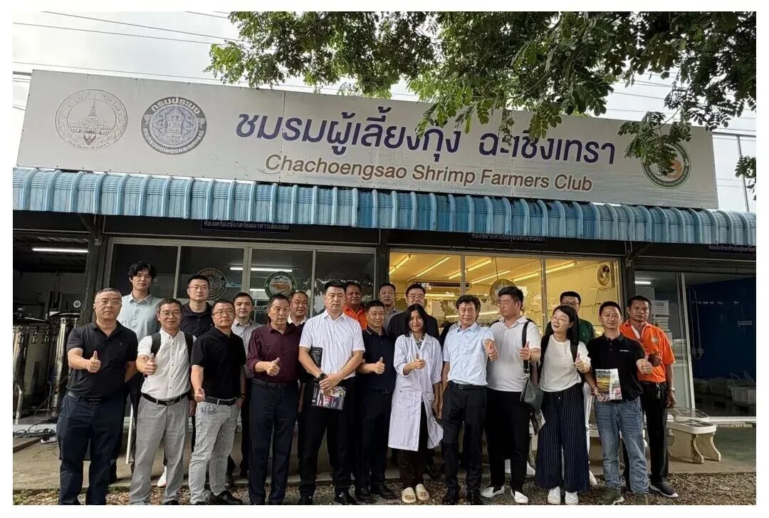 1761186040719823.jpg 4.jpg