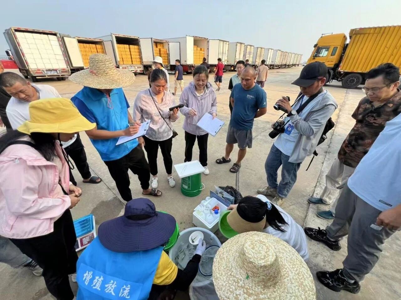 1761617989496303.jpg 1.jpg