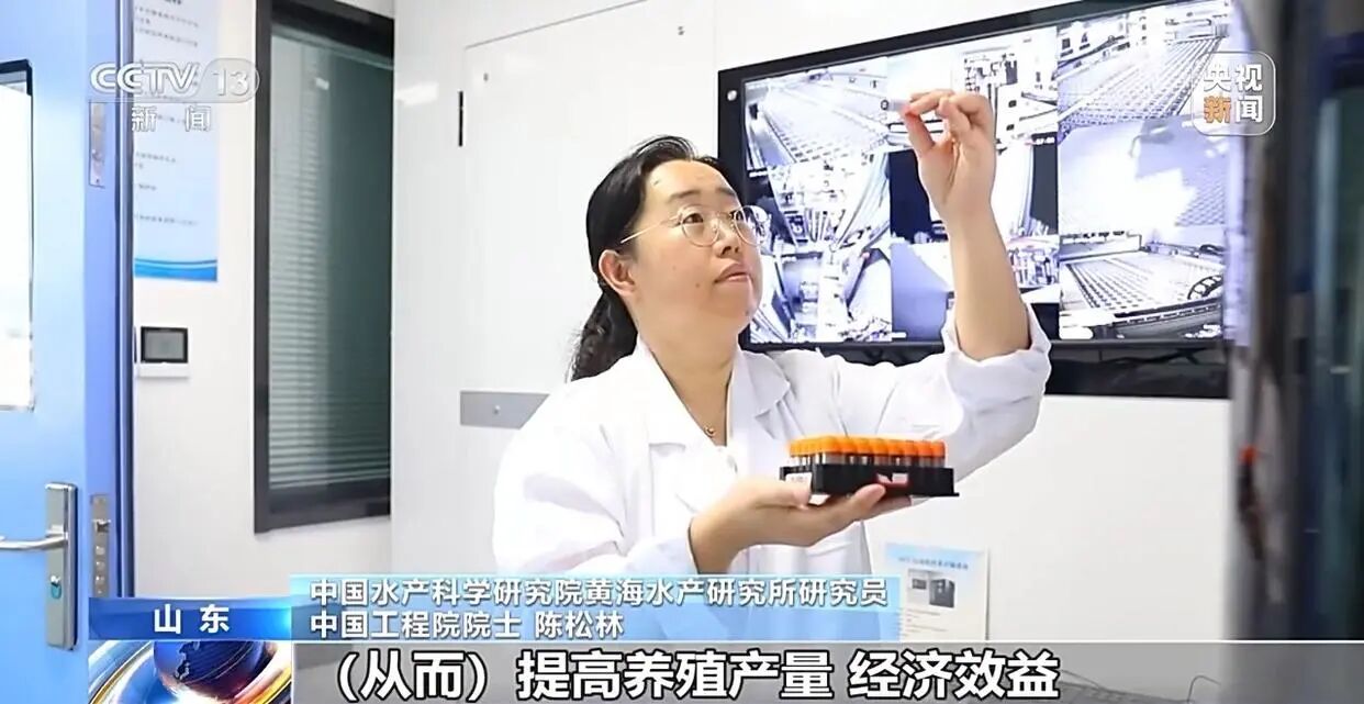 1761723277297307.jpg 936efa355570a6f6fcfb98d33a91fcb7.jpg